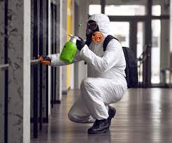 Professional Mold Prevention & Removal  in Clarence, IA